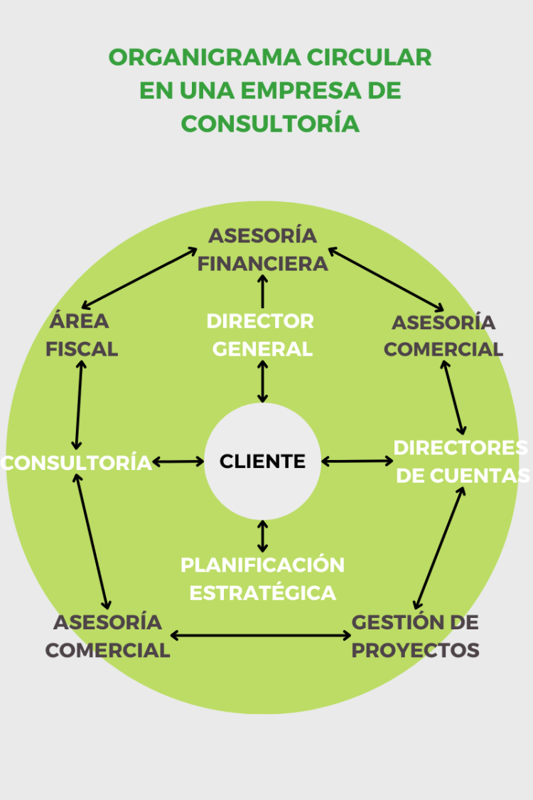 Organigrama Circular C Mo Funciona Y Para Qu Sirve