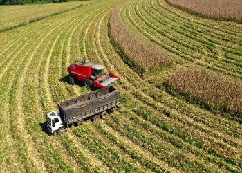 Vemos una imagen de un campo agricola siendo trabajado en el día de accion de gracias