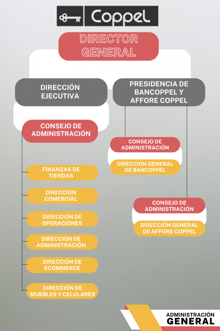 Organigrama De Coppel Descubre Su Estructura Organizacional