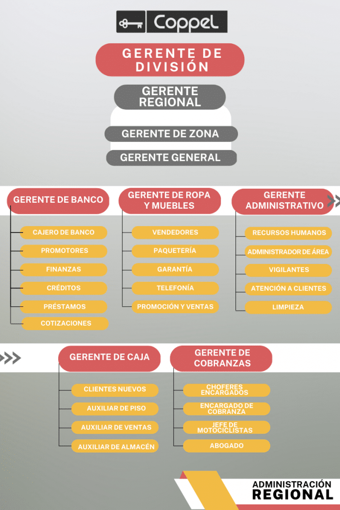 Organigrama De Coppel Descubre Su Estructura Organizacional 4685