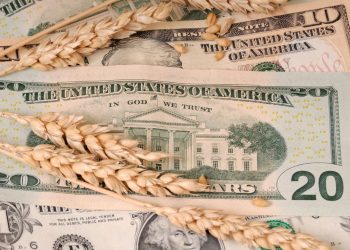 Vemos una imagen de dólares y trigos superpuestos, en referencia a qué son los commodities.