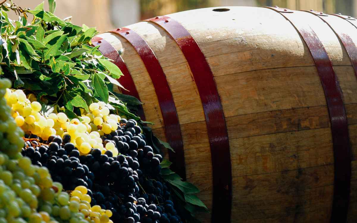 Vemos un barril de vino con racimos de diferentes tipos de uvas, en relación con las ferias de promoción en el estudio de mercado de vinos en Perú.