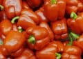 Vemos una imagen de chiles habaneros rojos, en referencia a la realización de un estudio de mercado del chile habanero.