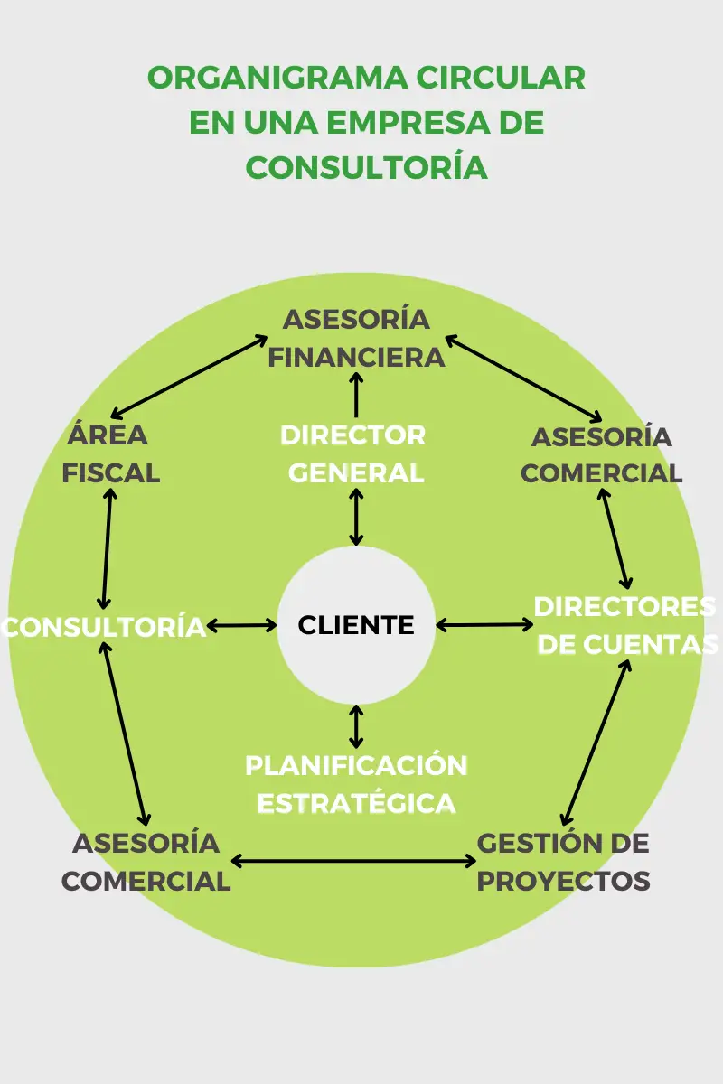 Vemos una infografía de un organigrama circular de una empresa de consultoría.