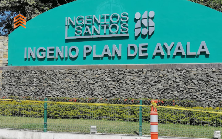 Organigrama de Ingenio Plan de Ayala: estructura y jerarquías para una gestión óptima